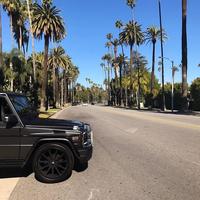 Отзыв от Леонид - виза ДТВ